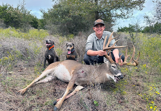 Blues Wounded Game Recovery